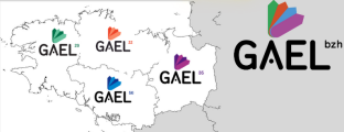 Logo Gael